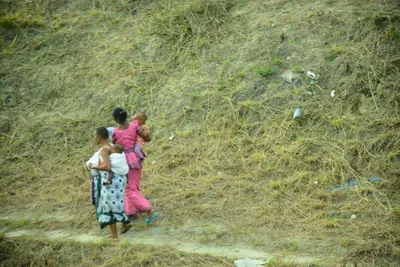 DSC_7742 (Large).JPG